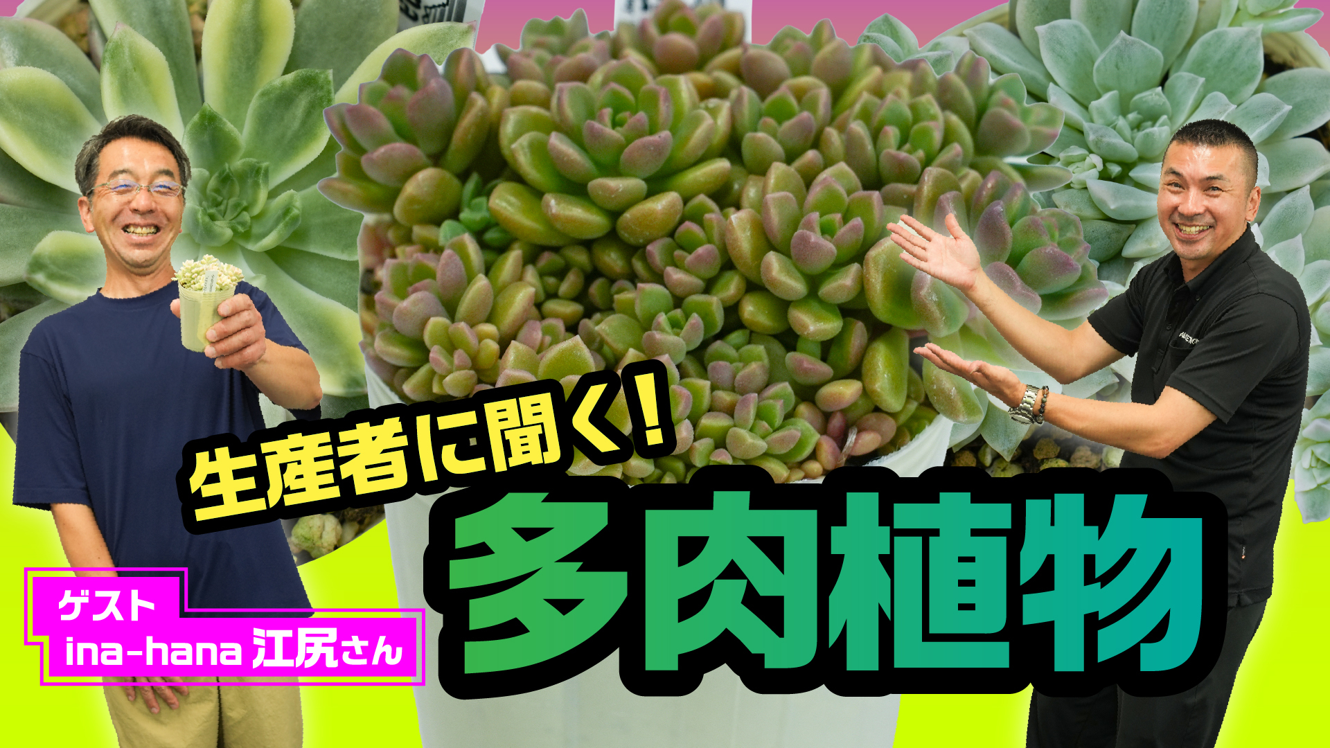 【多肉植物】生産者に聞く！多肉植物の魅力と管理方法